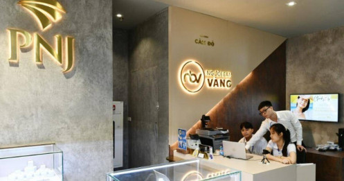 Em trai Chủ tịch PNJ đăng ký mua vào cổ phần giữa làn sóng bán tháo