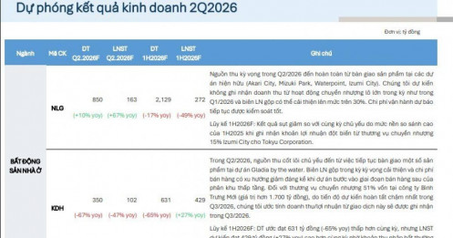 Lợi nhuận quý II nhóm BĐS lộ diện: 2 doanh nghiệp tăng hơn 60%, KDH và DXG lại chững nhịp
