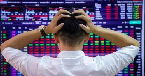 Bất ngờ: Dragon Capital cho rằng 2 cổ phiếu này đang rẻ hơn giá trị thực