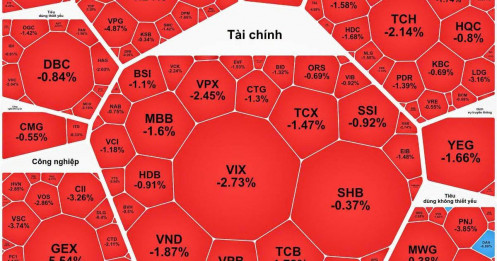 Tổng hợp thị trường phiên giao dịch ngày 09/07/2026