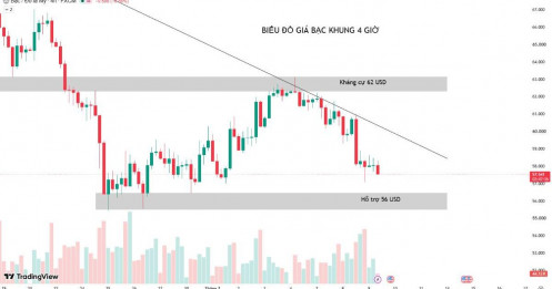 Bạc giảm mạnh về dưới 59 USD/OZ  – nên hành động ra sao?