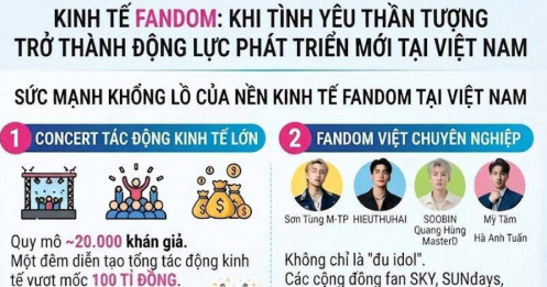 Kinh tế Fandom: Khi tình yêu thần tượng trở thành động lực phát triển mới tại Việt Nam