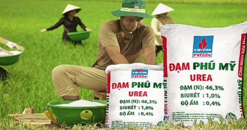 Dòng tiền ngoại "đổi vị" sang đạm, dầu khí?