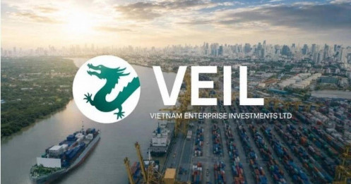 Cổ đông đồng loạt muốn rút vốn khỏi VEIL, điều gì đang xảy ra?