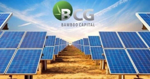 HoSE "khai tử" BCG và TCD