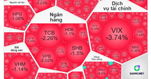 VN-Index lao dốc: Một phiên "rũ hàng" hay khởi đầu nhịp giảm mới?