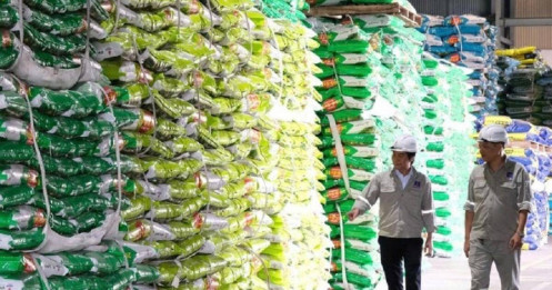 Cổ phiếu phân bón còn dư địa tăng?
