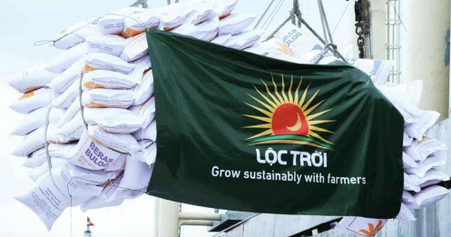 Cổ phiếu Lộc Trời có 'biến'