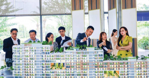 Không còn chuyện "mua đâu thắng đó"