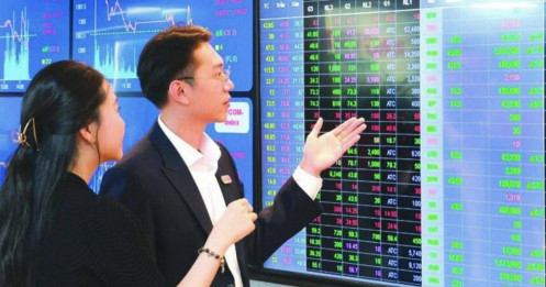Cổ phiếu nào hút chú ý tuần mới?