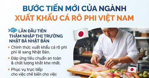 Bước tiến mới của ngành xuất khẩu cá rô phi Việt Nam