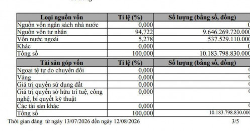 Điều gì đang diễn ra tại VinFast?