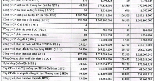 Danh mục cổ phiếu dài "như tờ sớ", doanh nghiệp vẫn ngậm ngùi báo lỗ
