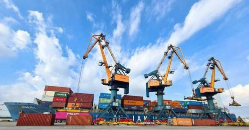 Sôi động tuyến vận tải đi Mỹ tránh thời hạn áp thuế quan mới