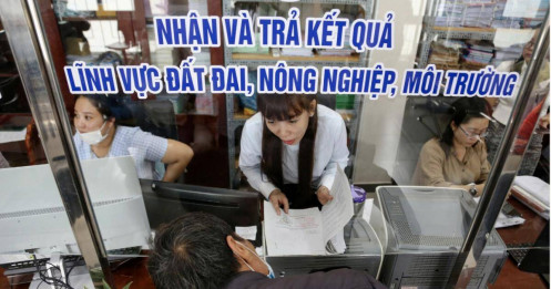 Chủ tịch xã, phường được phạt vi phạm đất đai đến 250 triệu đồng
