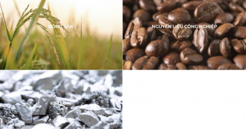 Lo ngại nguồn cung từ Nga, lúa mì bứt phá lên mức cao nhất gần một năm