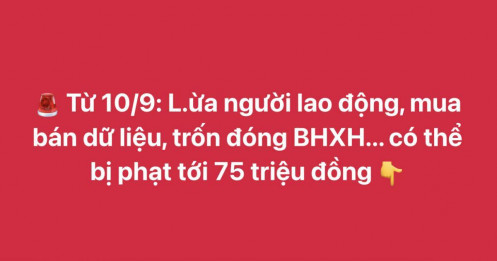 Từ 10/9: Lừa người lao động, mua bán dữ liệu, trốn đóng BHXH... có thể bị phạt tới 75 triệu đồng