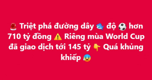 Triệt phá đường dây cá độ hơn 710 tỷ đồng, "tổng đại lý" 9X sa lưới