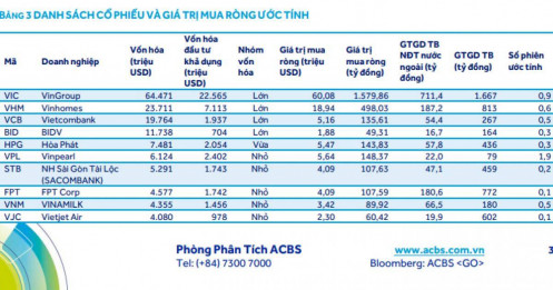 Nếu dự báo này thành hiện thực, VIC có thể đón gần 1.600 tỷ đồng từ các quỹ ngoại