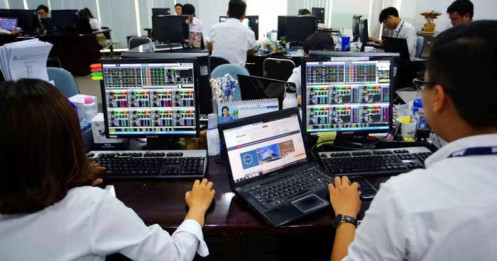 Tiêu dùng dẫn sóng, gọi tên MWG - VNM?