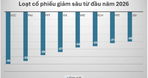 Đầu tư đúng công ty vẫn lỗ, hóa ra nhiều người đang bỏ qua điều này