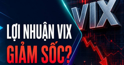VIX: Lợi nhuận lao dốc 94%, tự doanh đang phát tín hiệu gì?