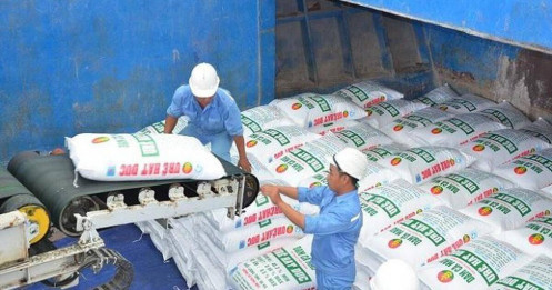 Xuất khẩu phân bón tăng vọt: Cơ hội đến từ giá bán, không chỉ sản lượng