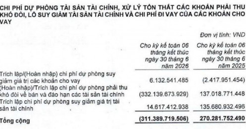 VNDirect gỡ "cục nợ" Trung Nam: Thu hồi gần 1.800 tỷ đồng chỉ sau một quý