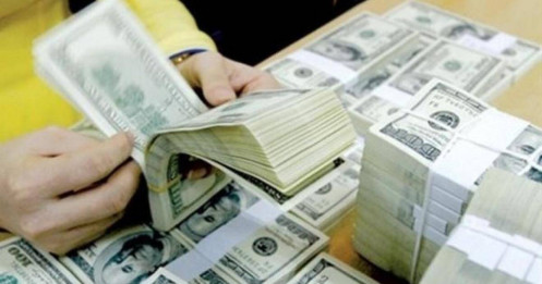 USD/VND "vững vàng" giữa sóng gió