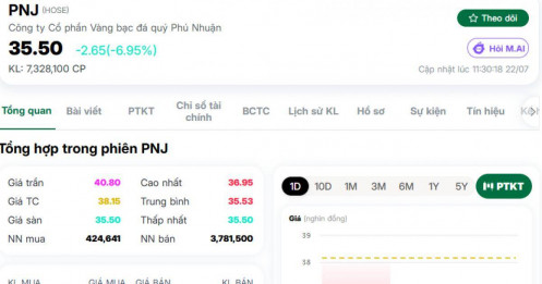 Lời trấn an của Tổng Giám đốc không cứu nổi PNJ