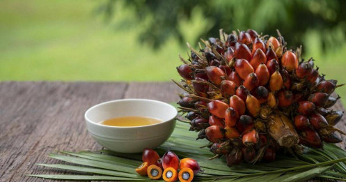 Bản Tin Nhóm Nguyên Liệu Công Nghiệp Ngày 23/07/2026