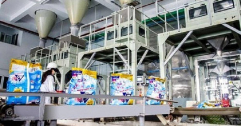 DGC: Lợi nhuận 6 tháng đầu năm 2026 giảm 52% svck, kế hoạch ĐHCĐ hé lộ rủi ro điều chỉnh giảm dự báo cả năm