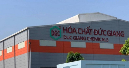 DGC – Báo cáo KQKD & Tài liệu ĐHCĐ