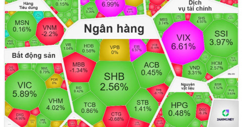 Chủ tịch SSI phát tín hiệu bắt đáy, hàng trăm cổ phiếu đồng loạt tăng