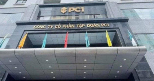 Con gái và em trai cựu Chủ tịch cùng xuất hiện trong danh sách ứng viên HĐQT PC1