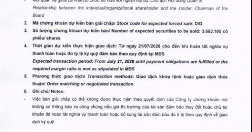 Chủ tịch DIG nguy cơ mất tư cách cổ đông lớn