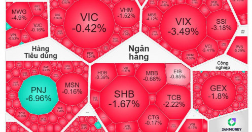 Phiên hồi chỉ là "bẫy"? VN-Index lại lao dốc, hơn 500 cổ phiếu đồng loạt giảm