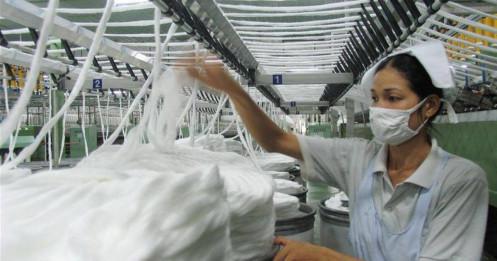Hàng Việt trước phép thử từ Mỹ