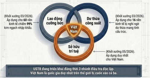 Hiểu nhanh toàn cảnh về thuế mục 301 đối với kinh tế Việt Nam