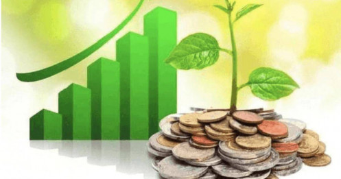 24 DN trả cổ tức bằng tiền mặt tuần tới, cao nhất 80%