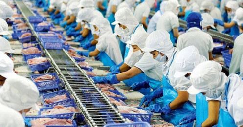 Thuế chồng thuế, thủy sản gặp "sóng lớn"