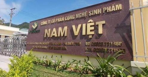 Nam Việt (ANV): Doanh thu tăng trưởng ấn tượng nhưng lợi nhuận chịu sức ép từ chi phí đầu vào