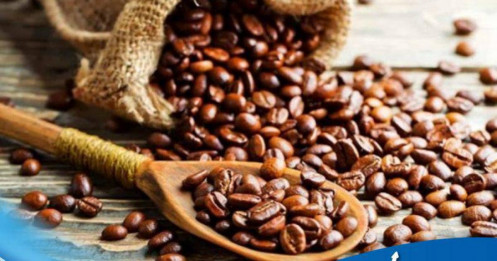Giá cà phê 28/07: Mưa tại Minas Gerais gây lo ngại cho thu hoạch cà phê, tồn kho Arabica ICE tiếp tục giảm