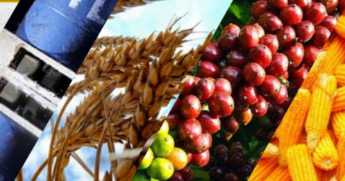 Nông sản CBOT đồng loạt lao dốc, chịu áp lực lớn từ giá dầu thô và đà chốt lời