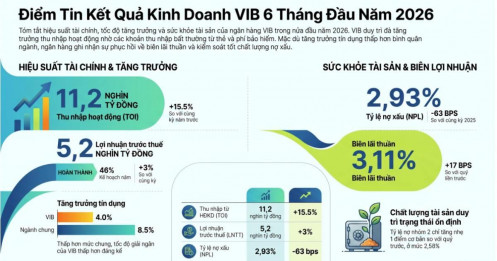 VIB – Báo cáo KQKD