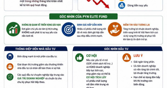 PYN Elite Fund gọi tháng 7 là “tháng kinh hoàng” do thị trường giảm mạnh khiến hiệu suất quỹ sụt giảm, nhưng quỹ không bi quan về triển vọng dài hạn