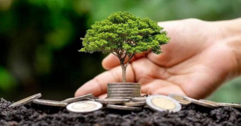 Một doanh nghiệp nhà nước lần đầu lãi trăm tỷ nhờ cổ tức từ công ty con của Vingroup