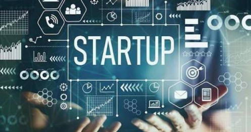 ESOP Vesting: 4-year 1-year cliff là gì? Cách thiết kế cho startup Việt Nam
