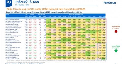 Có điều gì bất thường: Loạt "cá mập" đã âm thầm hành động trước cú rơi 200 của VnIndex
