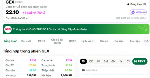 Cổ phiếu GELEX tím lịm sau BCTC, điều gì đang diễn ra?